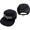 2PACSBCAP04B