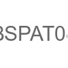 BSPAT08