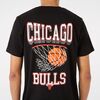 Chicago-Bulls-Hoop-Zwart-Back