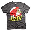 DC-Comics-The-Flash-Fastest-Ma