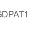 GDPAT14