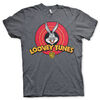 Looney-Tunes-Distressed-Logo