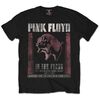 Pink-Floyd-In-The-Flesh