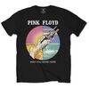 Pink-Floyd-WYWH-Circle-Icons