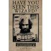 Poster-Harry-Potter-Wanted-Sir