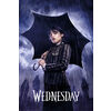 Poster-Wednesday-Downpour