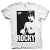 Rocky-Vintage-Photo