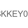 SKKEY02