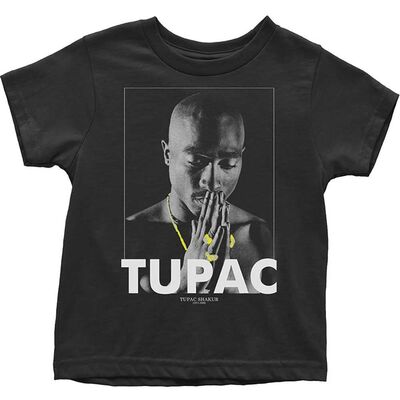 2PACTS01TB