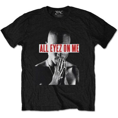 2PACTS04MB