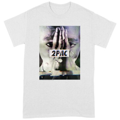 2PACTS31MW