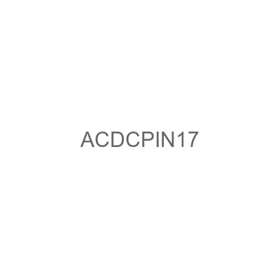 ACDCPIN17