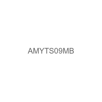 AMYTS09MB
