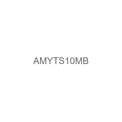 AMYTS10MB