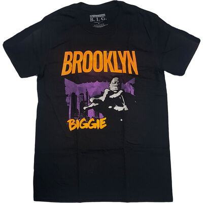 BIGTS13MB