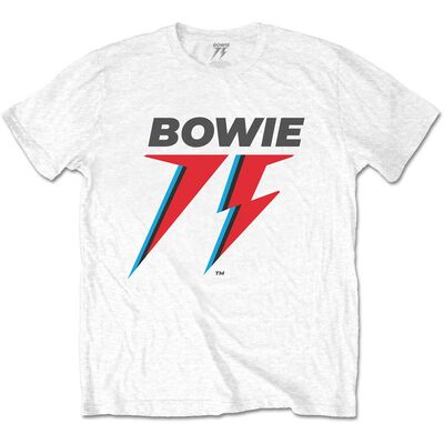 BOWPTS10MW