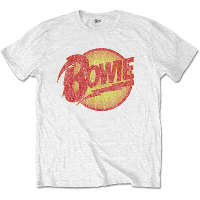 BOWTS09MW