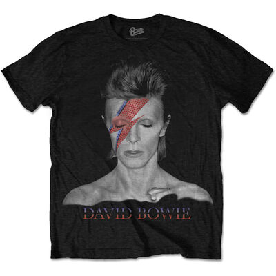 BOWTS22MB-David-Bowie-Aladdin-