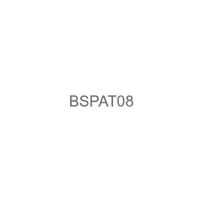 BSPAT08