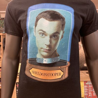 Big-Bang-Theory-Futurama