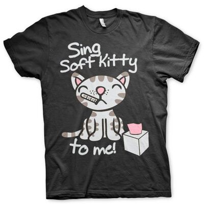 Big-Bang-Theory-Sing-Soft-Kitt