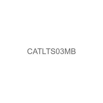 CATLTS03MB