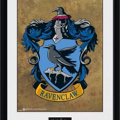 Collector-Print-Harry-Potter-R