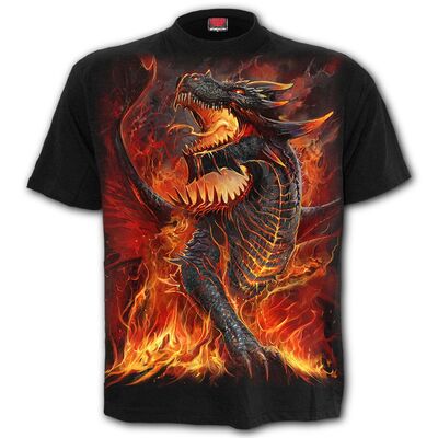 Draconis