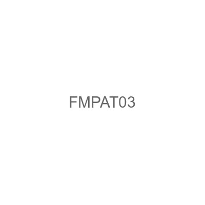 FMPAT03