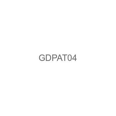 GDPAT04