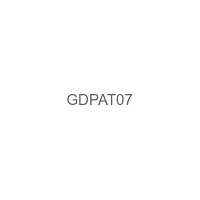 GDPAT07