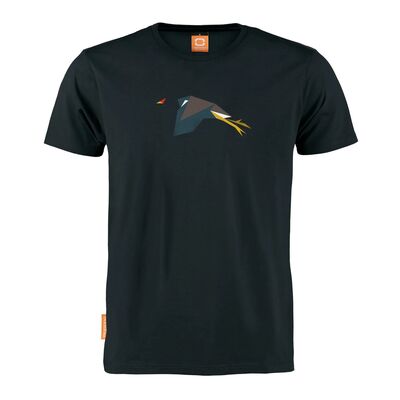 Gallinulla-Chlorpopus