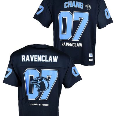 Harry-Potter-Ravenclaw