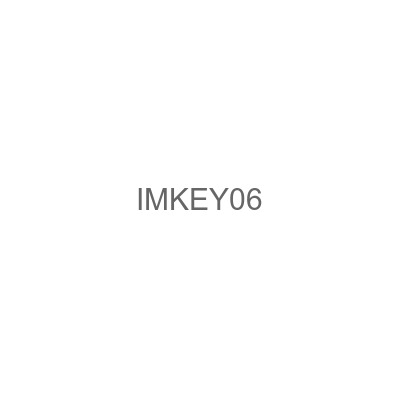 IMKEY06