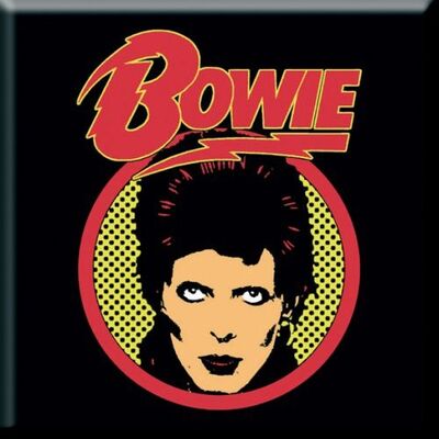 Koelkast-Magneet-David-Bowie