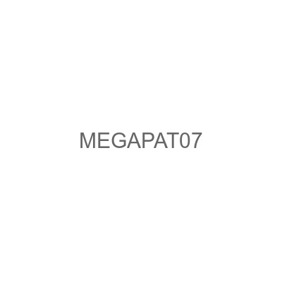 MEGAPAT07