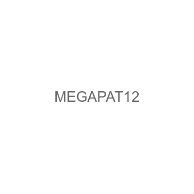 MEGAPAT12