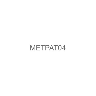 METPAT04