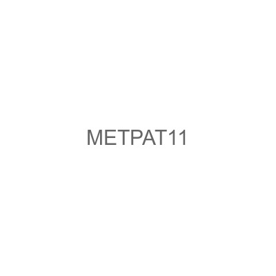 METPAT11