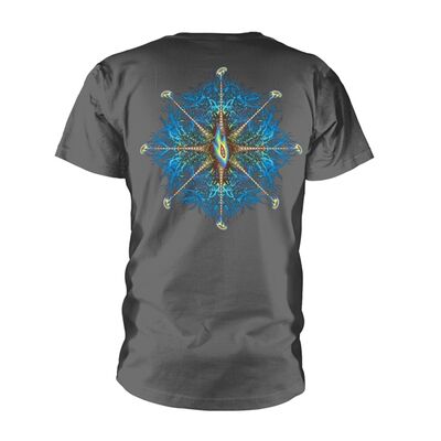 MTRAF10980111-Tool-Nerve-Endin