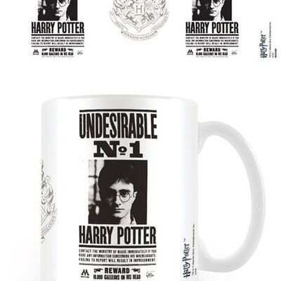 Mok-Harry-Potter-Undesirable-N