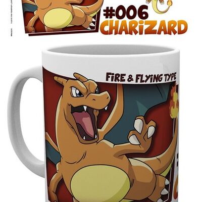 Mok-Pokemon-Charizard-Type