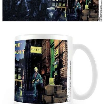 Mok-david-Bowie-Ziggy-Stardust