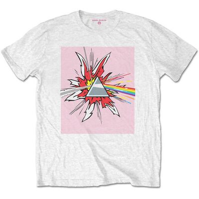 Pink-Floyd-Lichtenstein-Prism