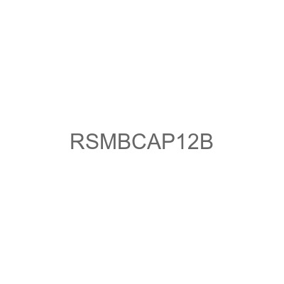 RSMBCAP12B