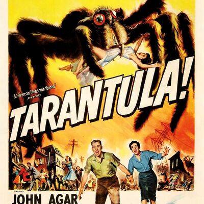 Tarantula-Art-Canvas