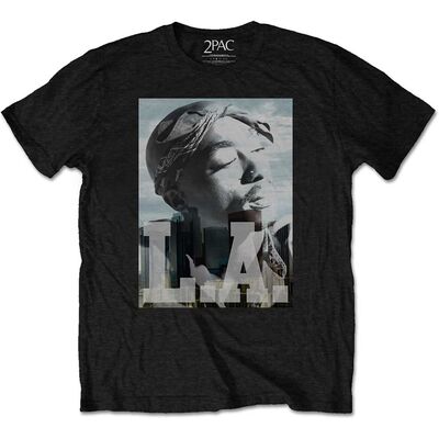 Tupac-LA-Skyline