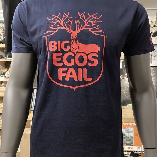 Big-Egos-Fail