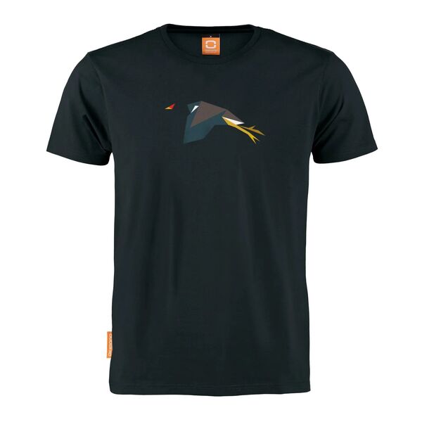 Gallinulla-Chlorpopus